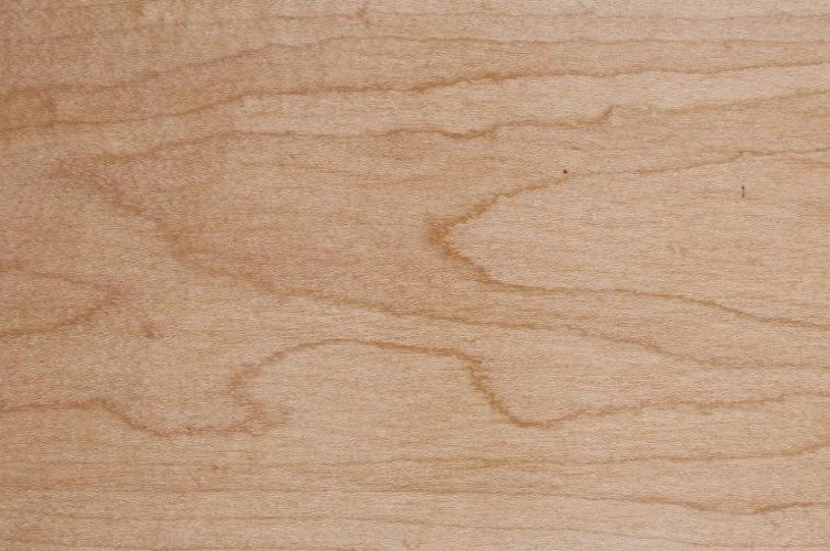 IN STOCK DEMO DEAL, Single XL, Modern Dog Crate Furniture, 2.0 The Lloyd Collection