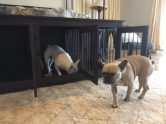 TRIPLE Small Custom Dog Crate Cabinet for dogs up to 15 lbs. - Carolina Dog Crate Co.