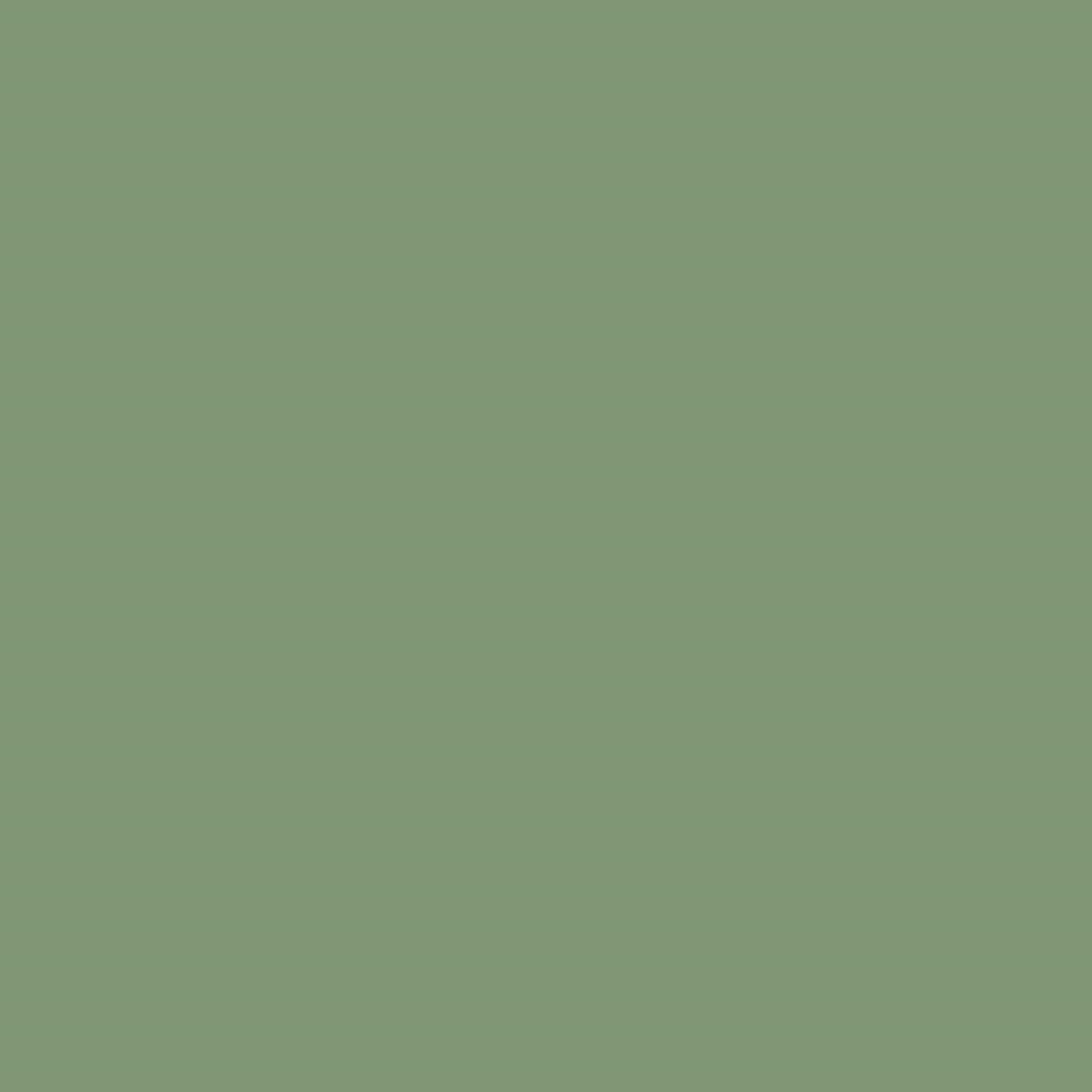 Custom Dog Crate Color - Sage