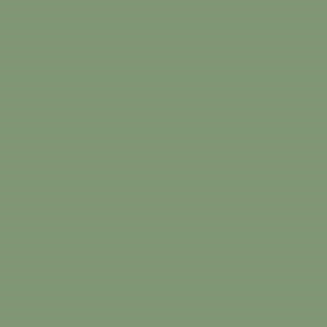 Custom Dog Crate Color - Sage